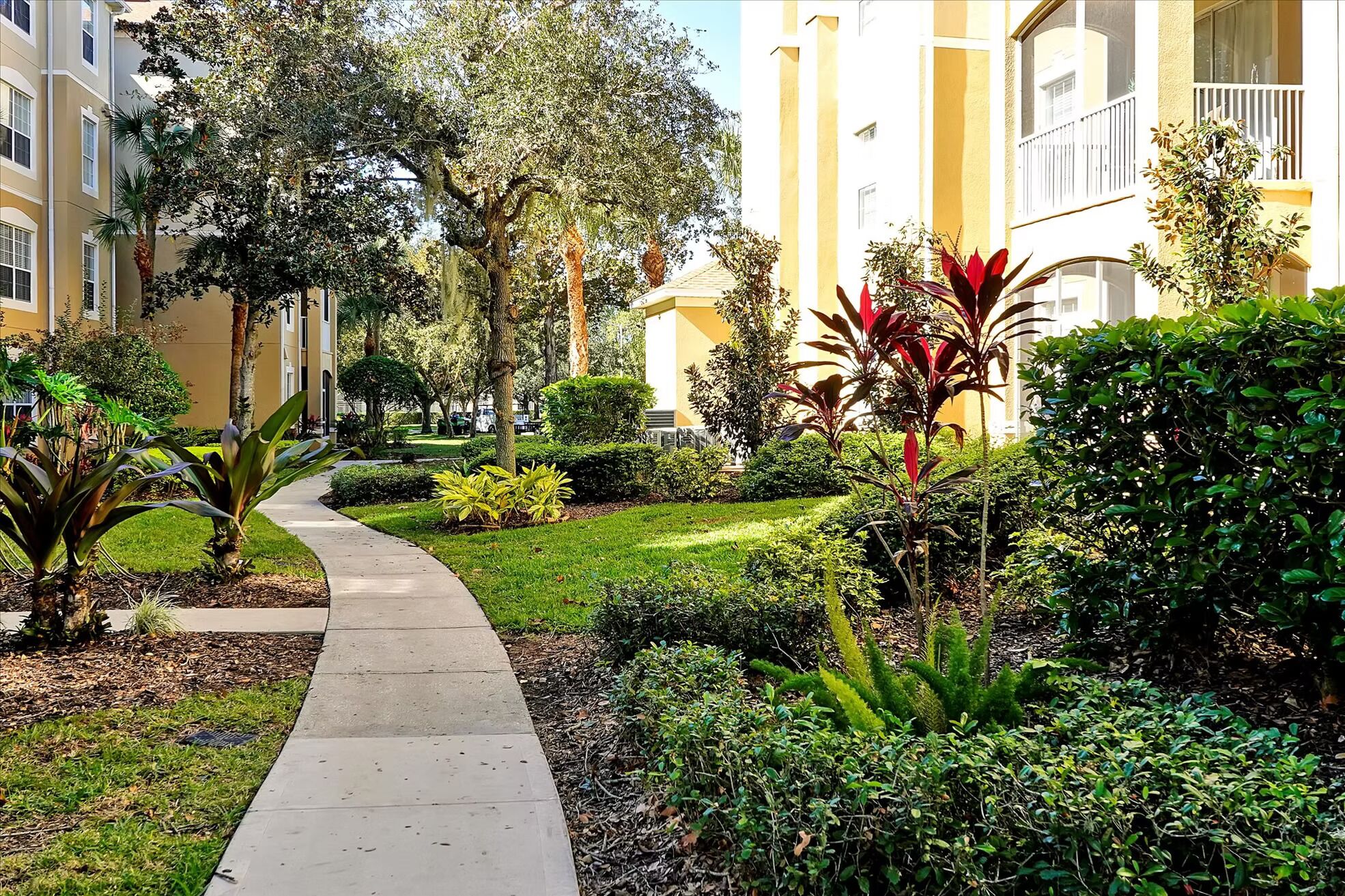 Terrein van de accommodatie