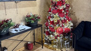 Un salon avec un sapin de Noël décoré, un téléviseur à écran plat, une table basse avec une plante et un canapé.