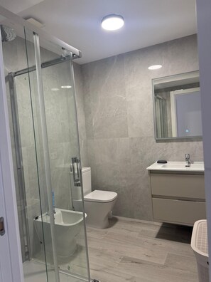 Shower, hair dryer, bidet, towels