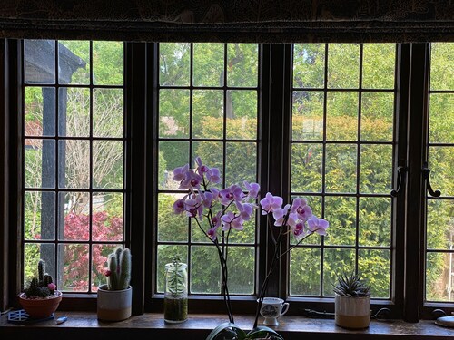 Grade 2* listed 6 Bedroom Manor House, Derbyshire Dales.