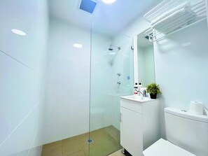 Hair dryer, soap - Female Studio Accommodation with private bathroom for rent both ST or LT (Strathfield)