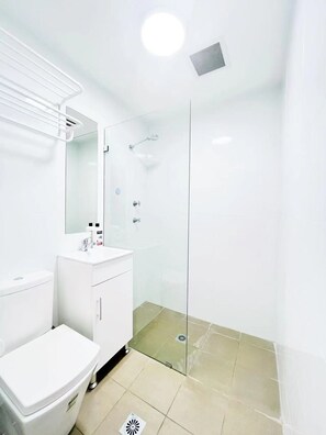 Hair dryer, soap - Female Studio Accommodation with private bathroom for rent both ST or LT (Strathfield)