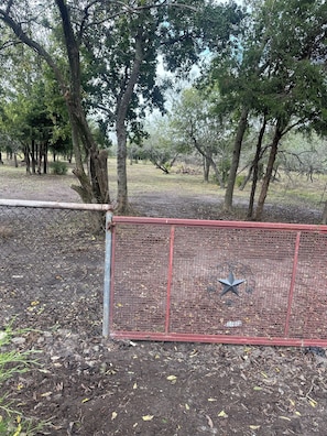 Enceinte de l’hébergement