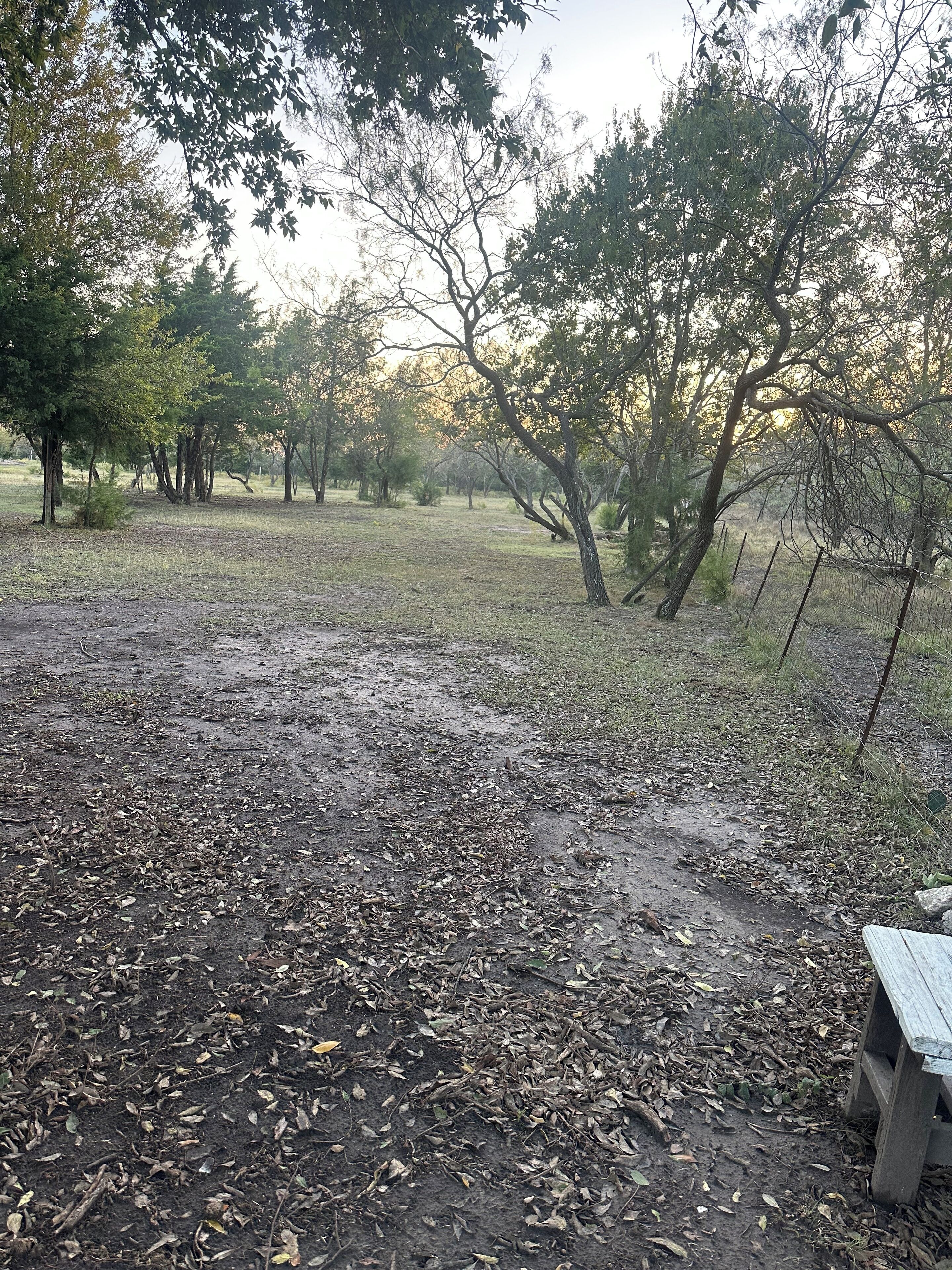 A natural outdoor area with a dirt path, trees, and a wooden bench.