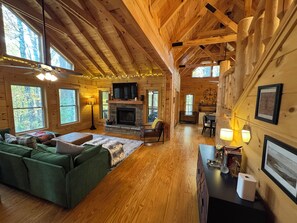 Smart TV, fireplace, books, music library