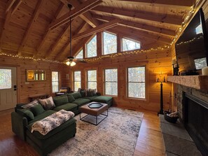 Smart TV, fireplace, books, music library