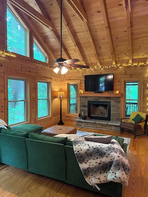 Smart TV, fireplace, books, music library