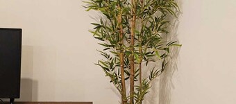 Brand new suite close to everything