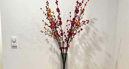 Brand new suite close to everything