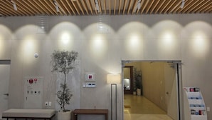 A modern lobby with a wooden ceiling, a reception desk, a bench, potted plants, and a wall-mounted fire alarm. - SL Hotel Myeongdong (Seoul)