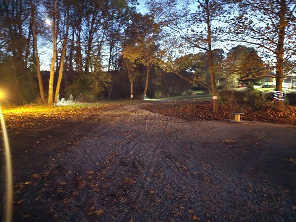 Un sendero pavimentado cubierto de hojas secas, bordeado de árboles y un farol.