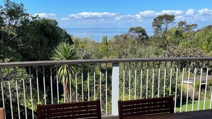 A wooden deck with metal railings, two wooden benches, and a view of a natural landscape with trees and a body of water.