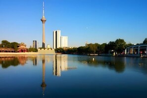 Pemandangan dari properti