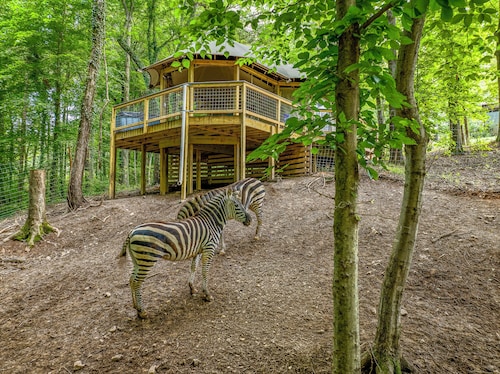 Zootastic Retreat | Private Hot Tub + Zoo Access