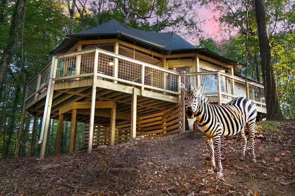 Unique Retreat: Elevated in nature, this design features a rustic charm with wildlife encounters!