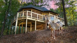 المنشأة من الخارج