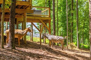 Een houten constructie met een zebra en een kameel in een bebost gebied.