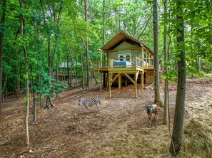 Exterior - Luxury Primitive Camping + Private Zoo Access (Troutman)
