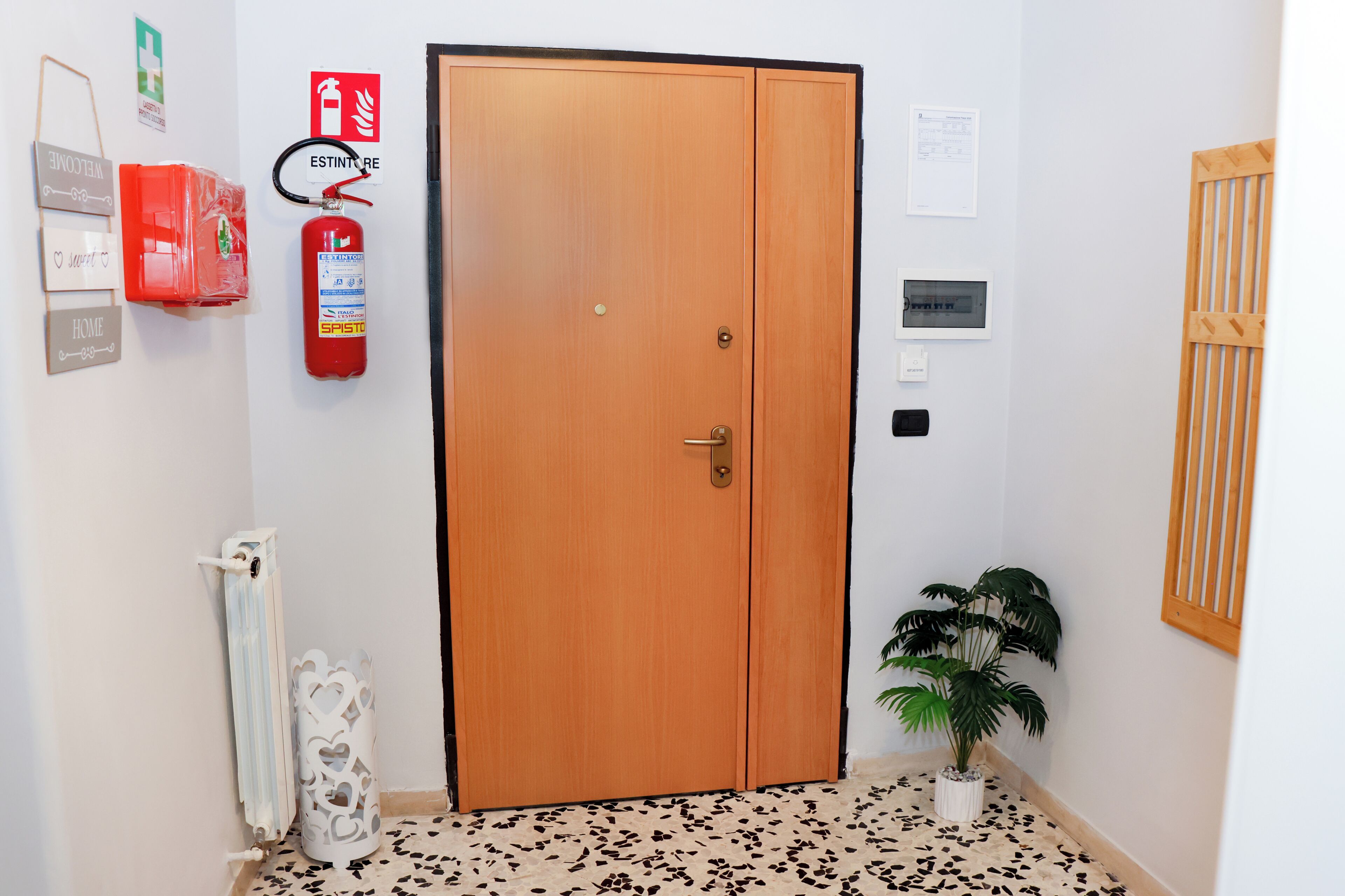 A wooden door, a fire extinguisher, a radiator, a potted plant, and a wall-mounted thermostat.