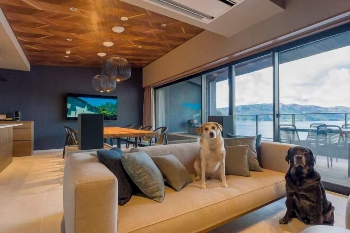 A modern living room with a sofa, a dog, and a large window overlooking a body of water.