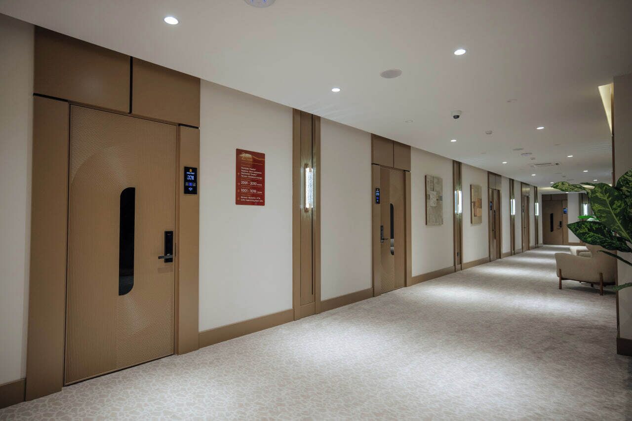 A hotel corridor with wooden doors, a carpeted floor, and a plant on the right.