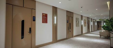A hotel corridor with wooden doors, a carpeted floor, and a plant on the right.