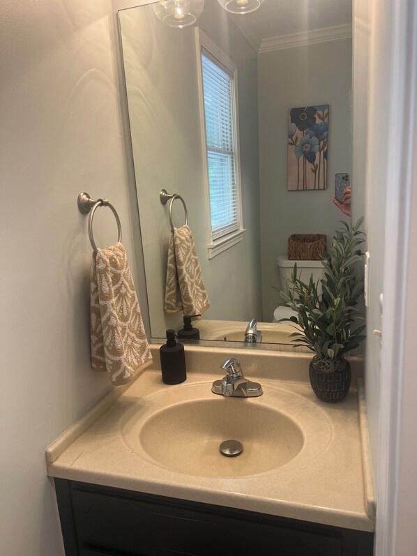 Hair dryer, towels, soap, shampoo