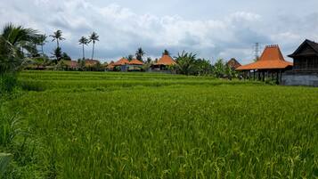 บริเวณภายนอก