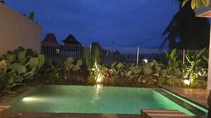 A rectangular swimming pool with a greenish hue, surrounded by lush tropical plants and a wire fence.