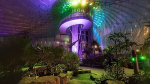 Un edificio moderno con una torre central circular, rodeado de plantas tropicales y rocas.