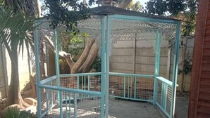 Un pabellón con estructura metálica y techo decorativo, rodeado de un jardín con una palmera y una planta en maceta.