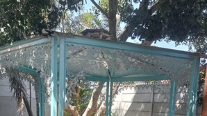 Un kiosque doté de bancs blancs et d’une grille en métal, entouré d’arbres et d’un mur en béton.