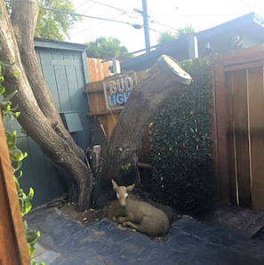 المنطقة المحيطة بالمنشأة