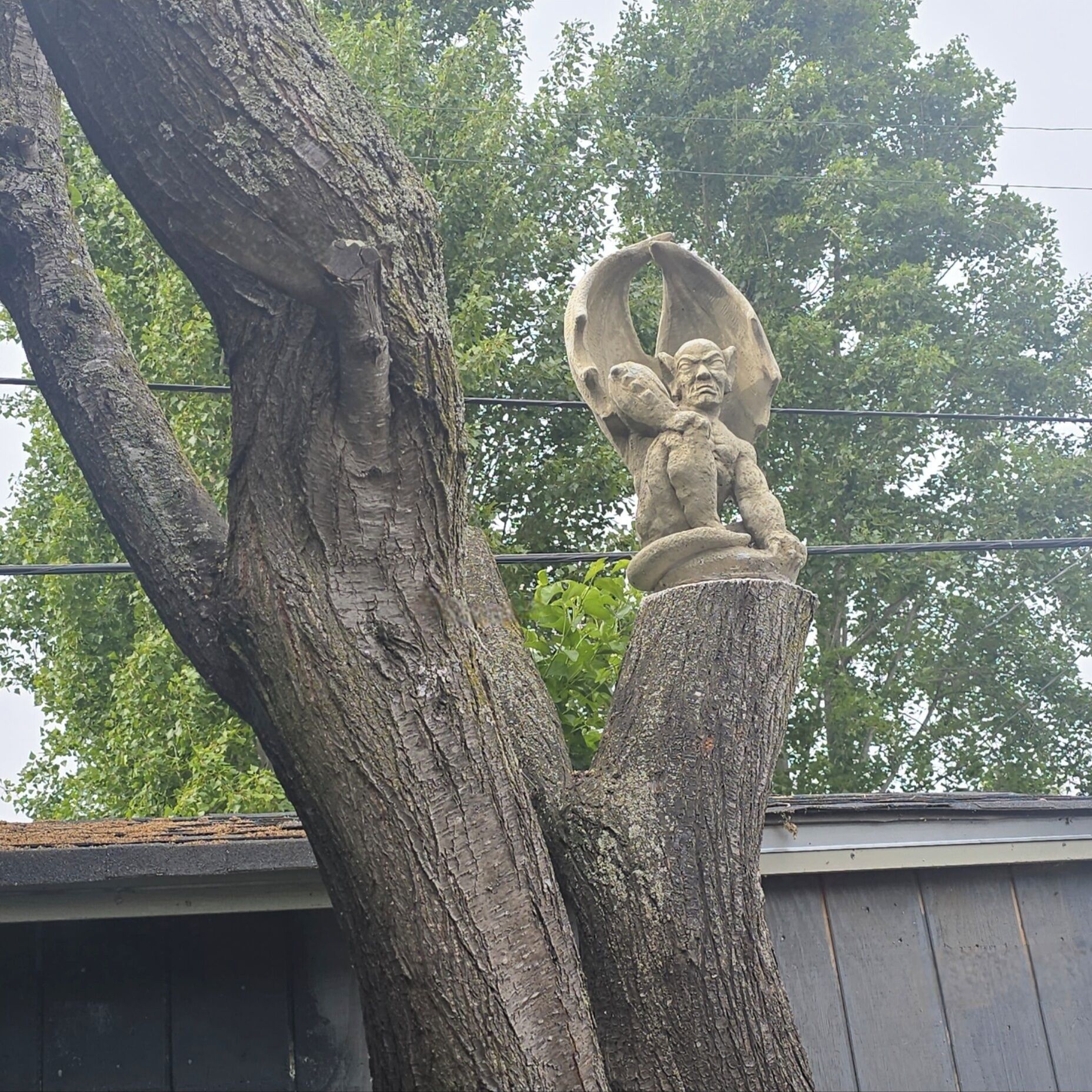 Un árbol con una escultura de piedra de una figura alada y un niño.