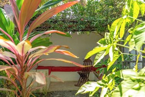 A garden with various plants and a small wooden chair.
