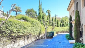 Un sendero estrecho bordeado de exuberante vegetación y altos árboles, que conduce a un edificio con fachada clara y múltiples ventanas.