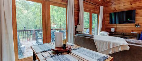 Smart TV, fireplace, books