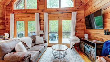 Smart TV, fireplace, books