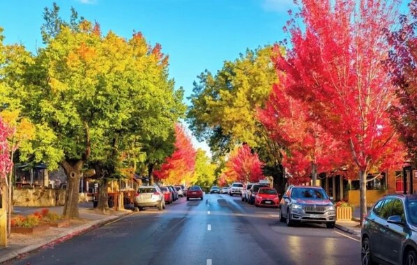 A street lined with autumn-colored trees and parked cars. - Hahndorf Retreat Cottage (Hahndorf)