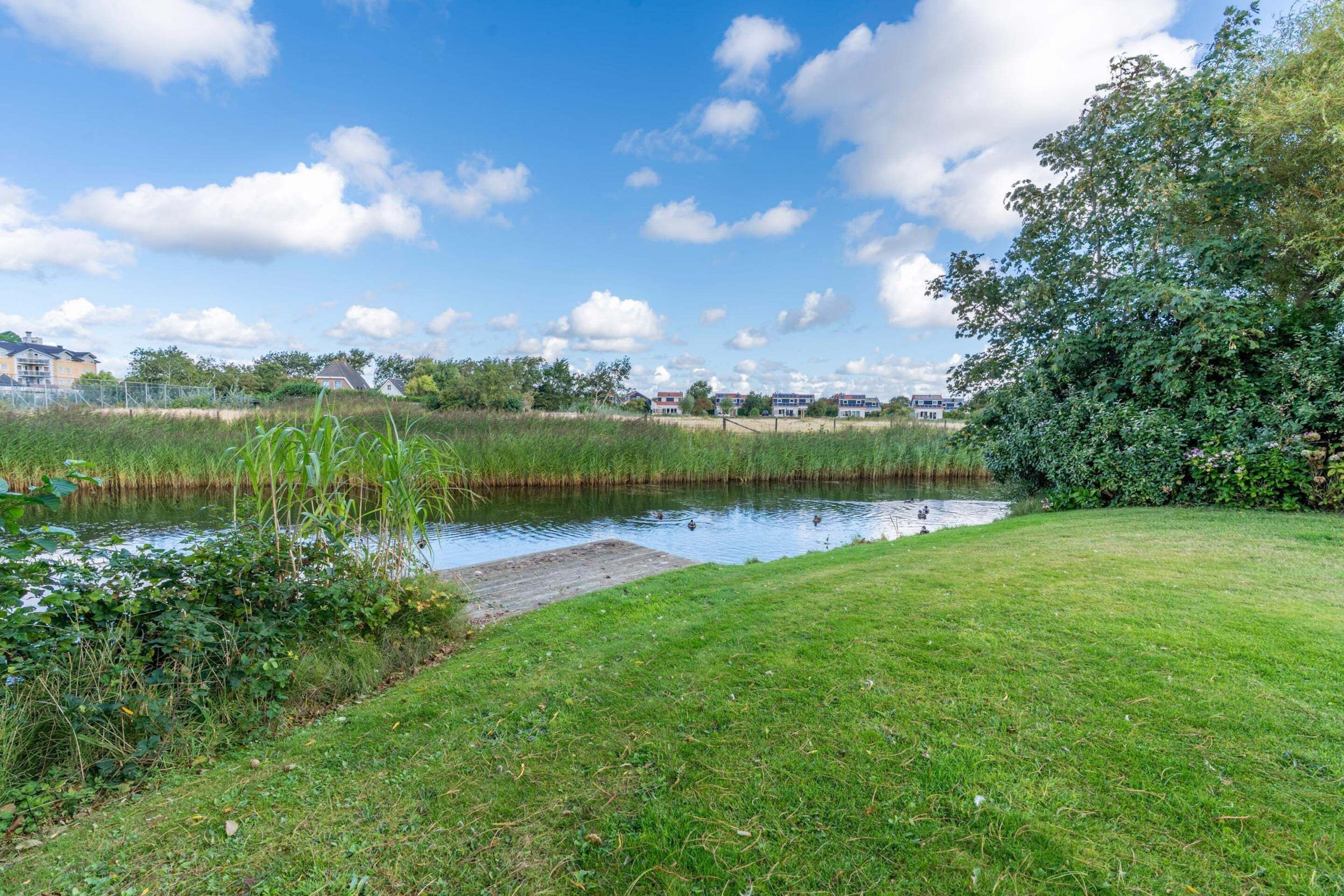A grassy area with a pond, surrounded by greenery and houses in the background.