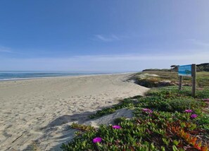 Classic House, 2 Bedrooms | View from property - Holiday Home 150m From the Beach in Corsica (Poggio-Mezzana)