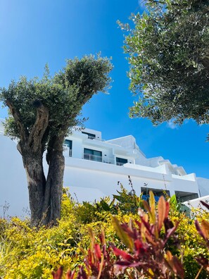 Villa, 1 Yatak Odası, Sigara İçilebilir, Kişiye Özel Havuzlu | Dış mekân