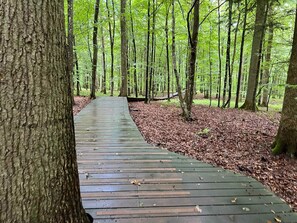 House | Exterior - 4 Star Holiday Home in Lundby (Lundby)