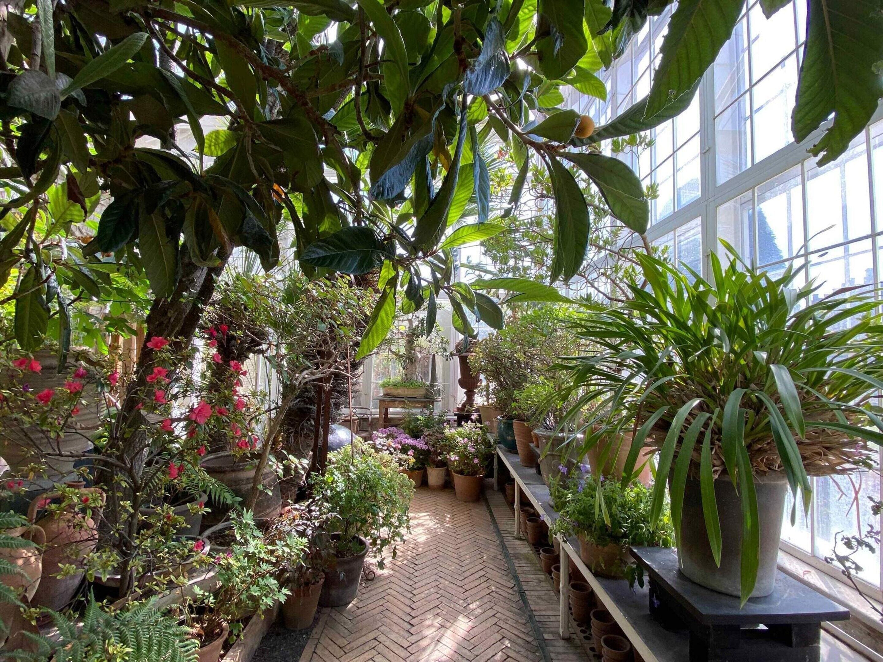 獨棟房屋 | 外觀