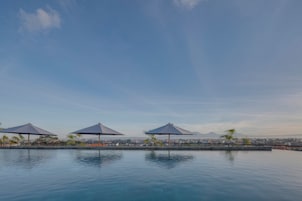 Outdoor pool, open 8:00 AM to 8:00 PM, pool umbrellas, pool loungers
