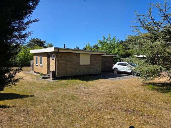 Bungalow For 6 Persons With A Very Spacious South-facing Garden - Texel