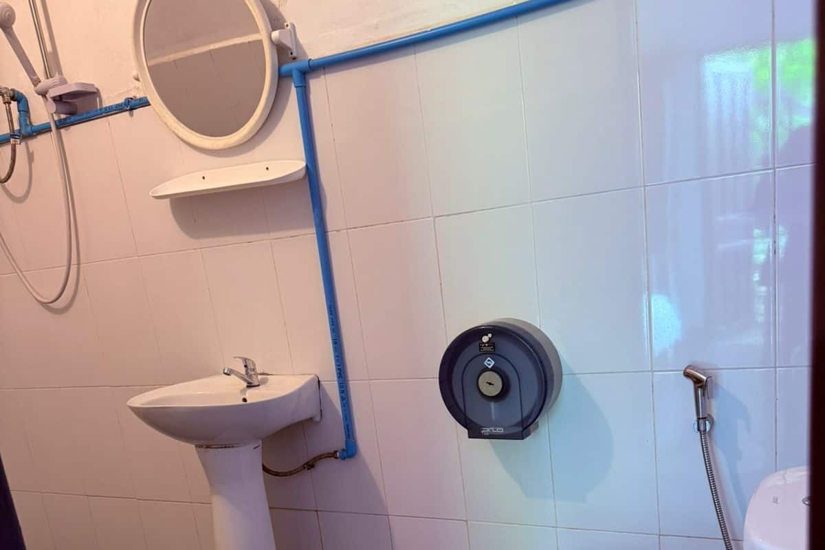 Un baño con lavamanos pedestal, inodoro y ducha.