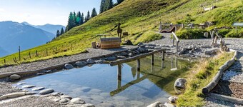 Nice Apartment in Jochberg With Ski-in, out