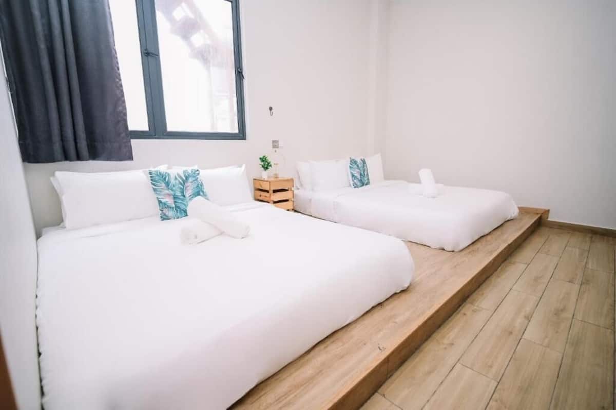 Habitación de hotel con dos camas, ropa de cama blanca, una plataforma de madera, una mesita de noche con una planta y una ventana con cortinas.