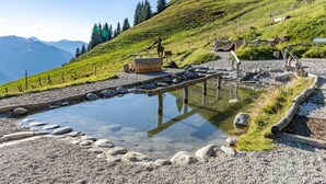 Ein klares Schwimmbecken im Freien mit einer Holzterrasse, umgeben von Kies und einem Schotterweg.